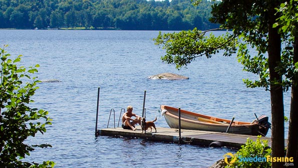 Oretorp Rental Cabins Pike Perch Lake Fishing Swedenfishing